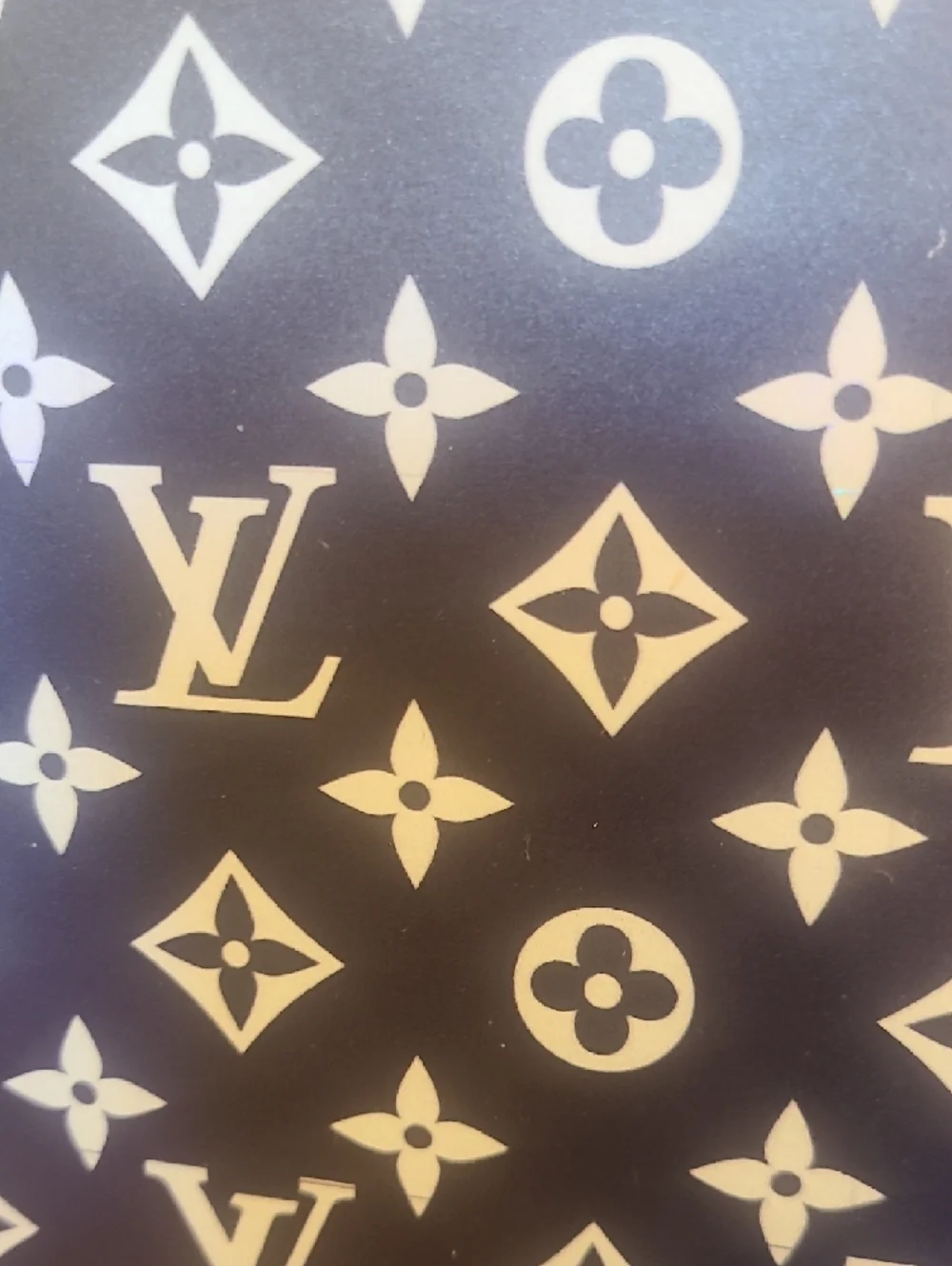 Louis Vuitton Framed Wall Art LV Canvas Painting Picture Jordan Sneaker